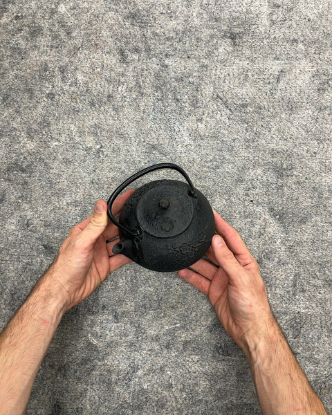 Cast Iron Tetsubin Teapot with Infuser