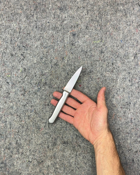 Stainless Steel Paring Knife