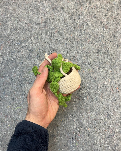 Crocheted Potted Plant