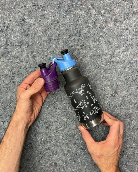 Klean Kanteen Insulated Water Bottle with Dinosaurs