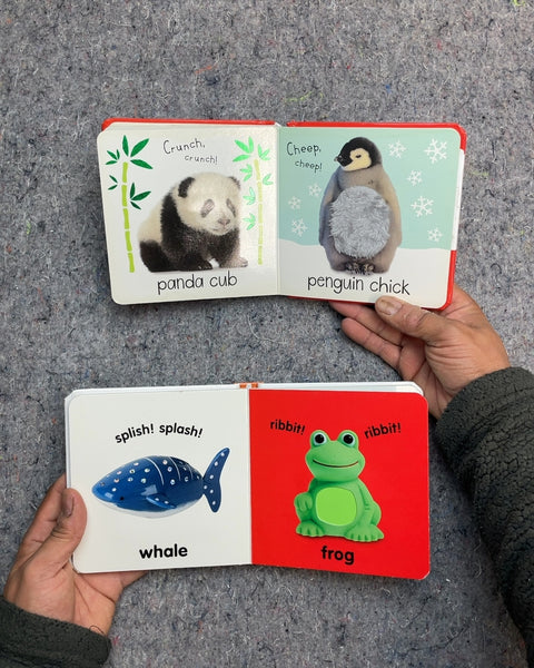 Baby Touch and Feel Board Books, Set of 2