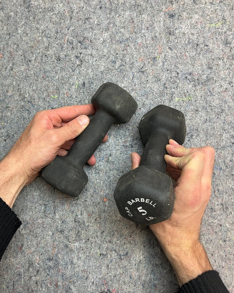 Pair of 5 lb Dumbbells