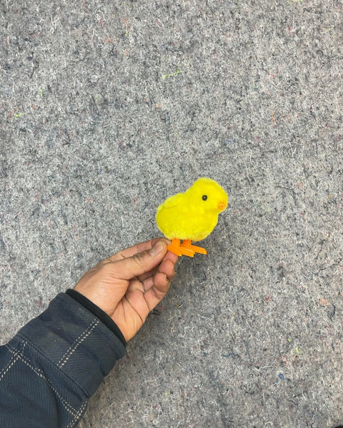 A Wind-up Walking Chick