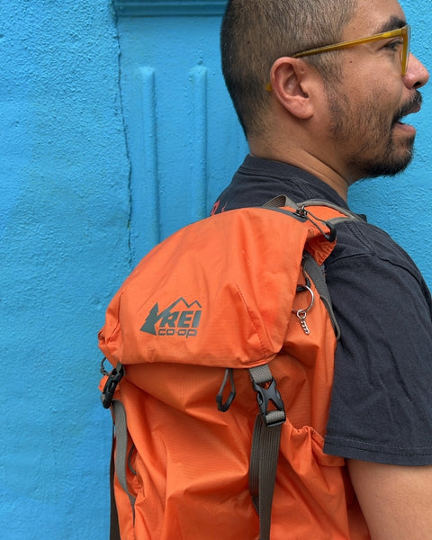 REI Co-op Flash 22 Backpack