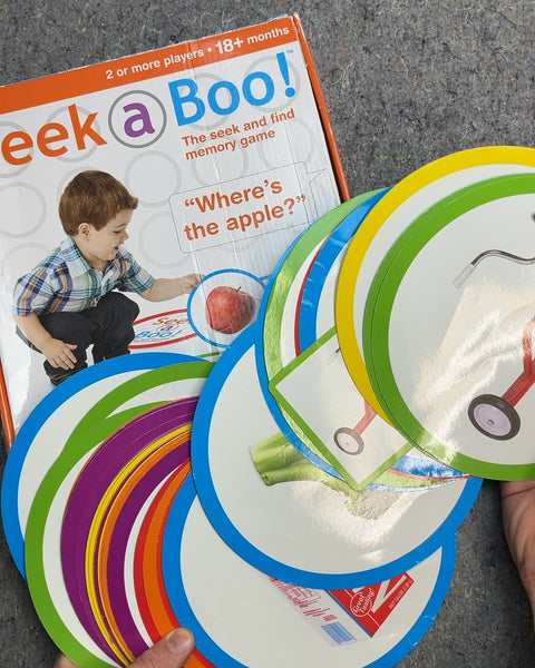 Seek a Boo! The Seek and Find Memory Game