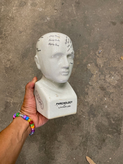 Phrenology Porcelain Head