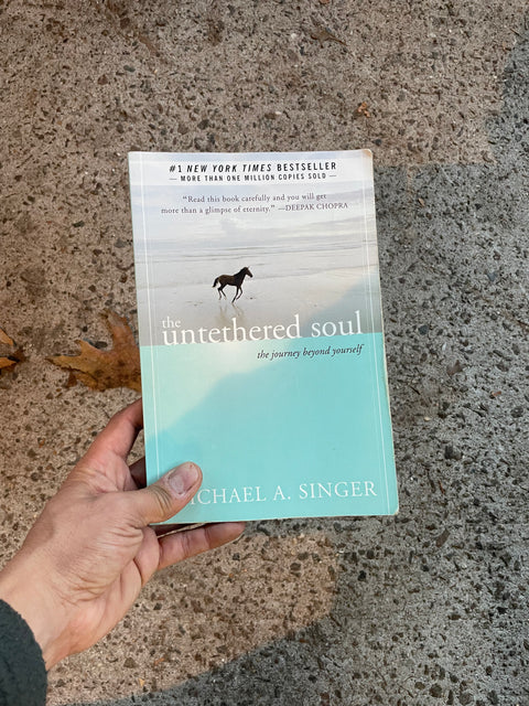 The Untethered Soul by Singer