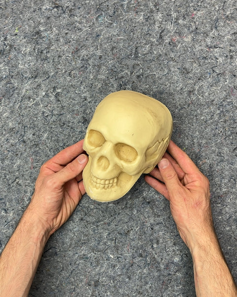 Decorative Skull Prop