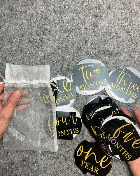 Baby Monthly Milestone Photo Prop Discs