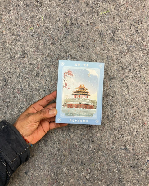 Chinese Magnet Puzzle