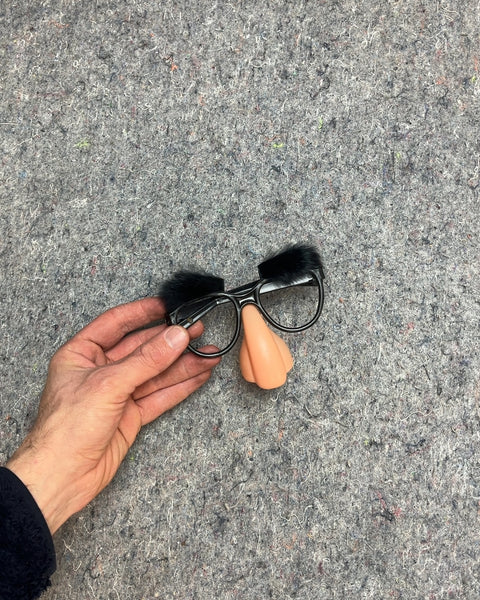 Disguise Glasses with Nose and Eyebrows