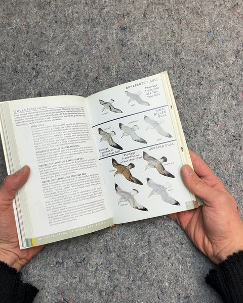 Peterson Field Guide to Birds