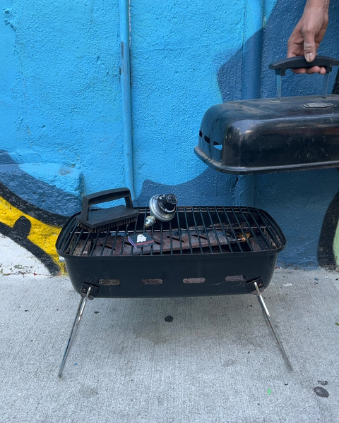 Expert Grill 1-burner Black Portable Propane Gas Grill
