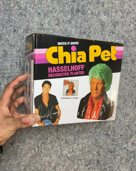 Chia Pet Hasselhoff Decorative Planter