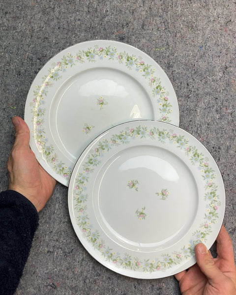 Vintage Floral Dinner Plates, Set of 2