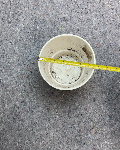Ikea Ceramic Planter Pot, 6.5x6.5"