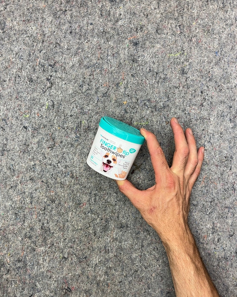 Petkin Fingerwhip Toothwipes for Dogs