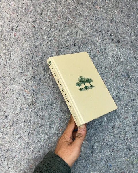 The Hidden Life of Trees by Peter Wohlleben
