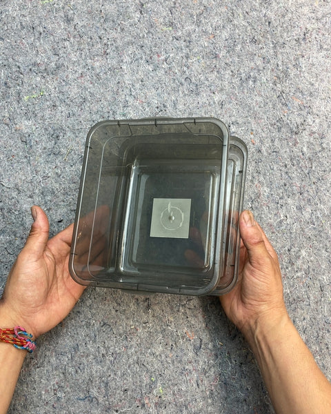 Storage Container with Lid