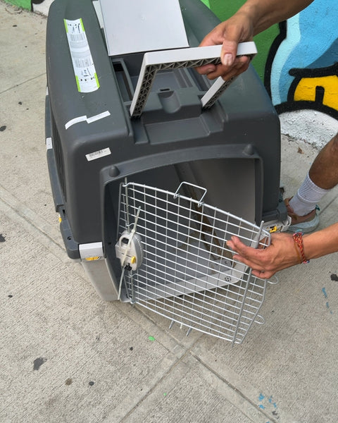 Trixie Gulliver 7 Pet Carrier To Fly With, L33xW20xH27"