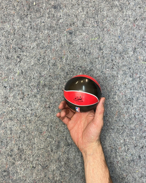 Toronto Raptors Mini Basketball