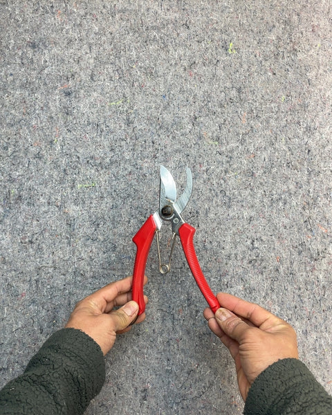 Good Gardening Pruning Shears with Red Handles