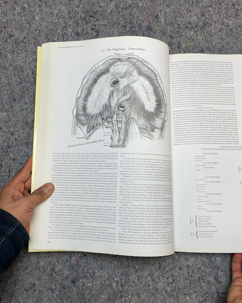 Gray's Anatomy: A Facsimile by Henry Gray F.R.S.