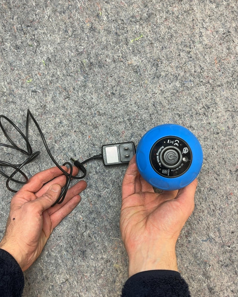 Blue Peanut Massager with Charger