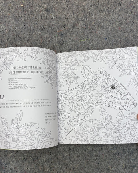 Wildlife Rare and Endangered Animals to Color and Create by Susie Wright