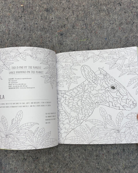 Wildlife Rare and Endangered Animals to Color and Create by Susie Wright