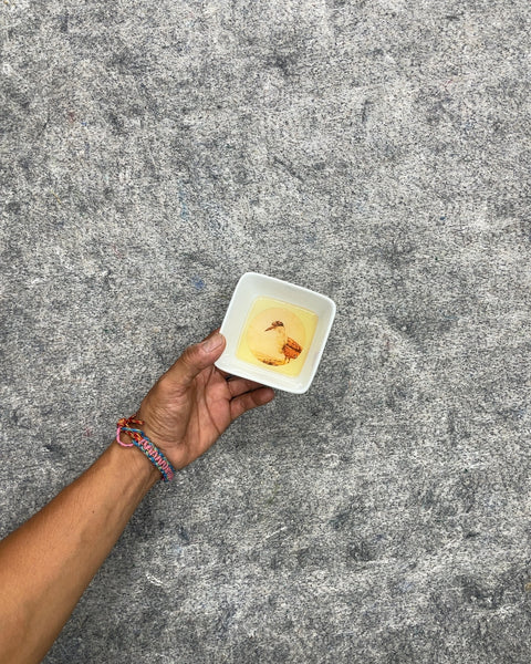 Square Ceramic Dipping Dish with Bird Illustration