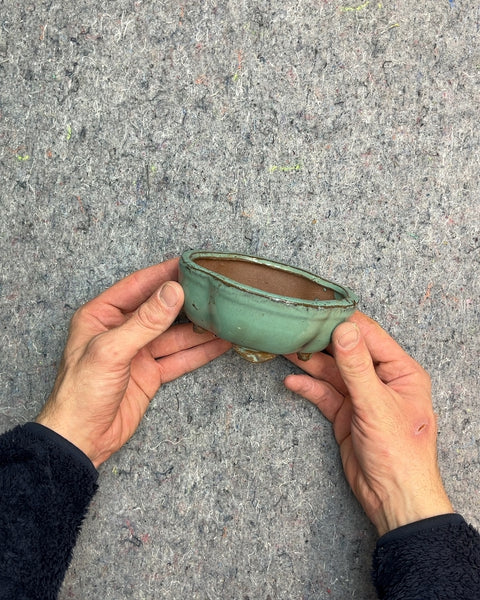 Small Ceramic Bonsai Pot, 5"