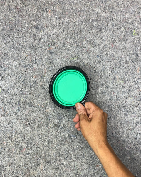 Collapsible Green Pet Bowl