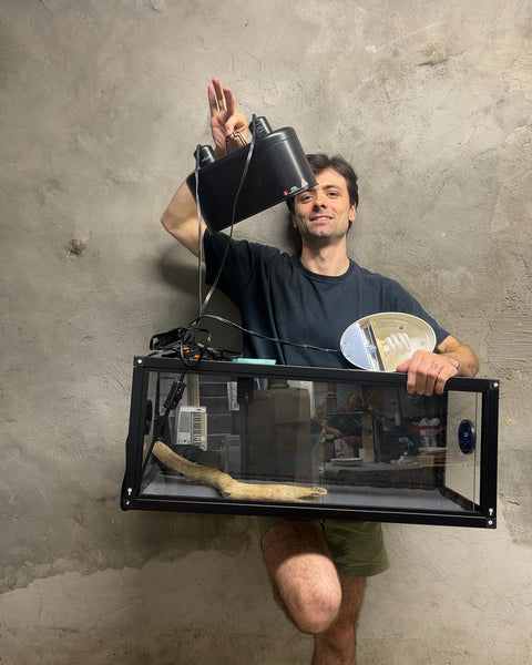 Reptile Terrarium Enclosure with Dual Dome Heat Lamp Setup, 12x30"