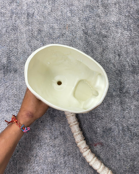 Drink from a Skull Funnel
