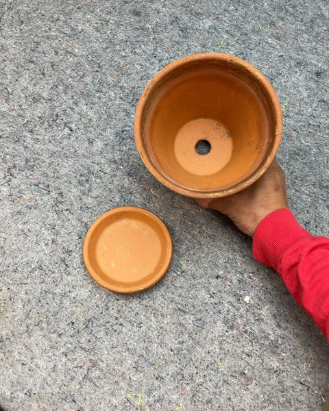 Terracotta Plant Pot with Saucer