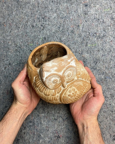 Terracotta Owl Planter