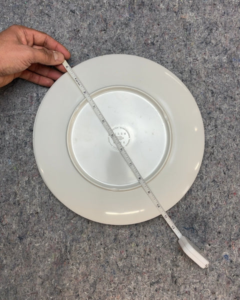Funky Plastic Plates for Guests whom You're Kinda Close With