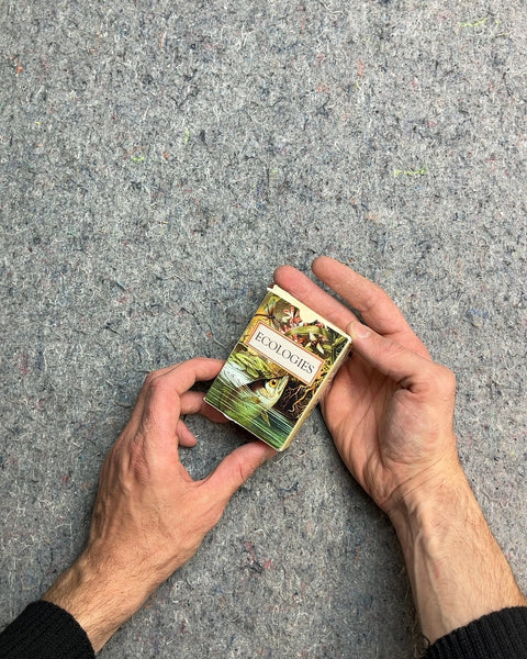 Montrose Biology Ecologies Card Game