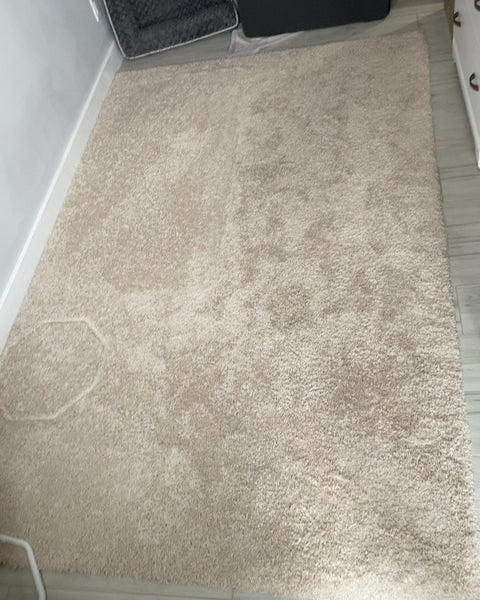Neutral Area Rug, 100x60”