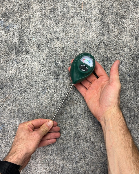 Moisture Meter