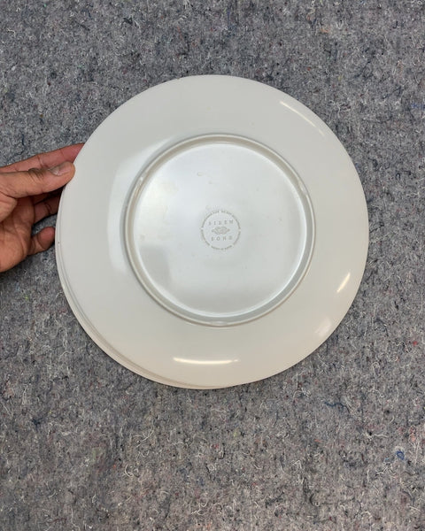 Funky Plastic Plates for Guests whom You're Kinda Close With