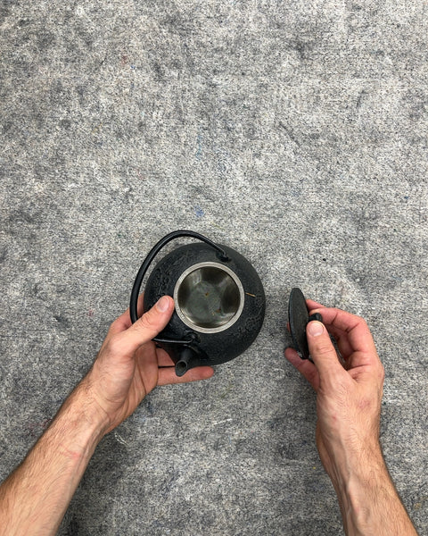 Cast Iron Tetsubin Teapot with Infuser