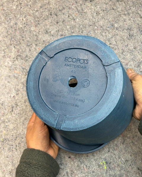 Ecopot Planter, 20x17.5"