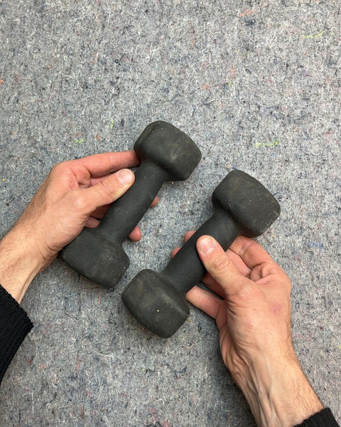Pair of 5 lb Dumbbells