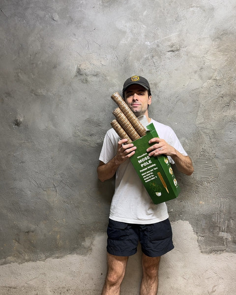 3 Moss Pole Plant Support Stakes