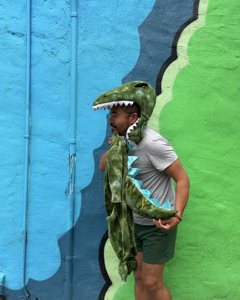 Pottery Barn Kids Dinosaur Costume, Size 2T