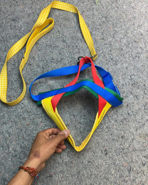 Vetreska Colorful Pet Harness and Leash Set