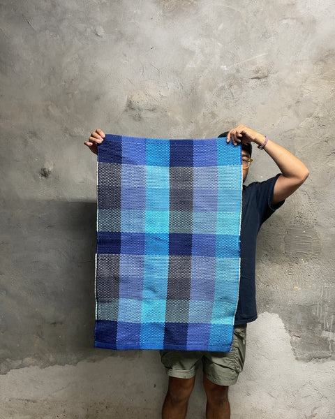 Dash & Albert Blue Plaid Woven Rug, 24x36"