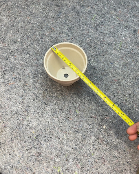 Small Clay Planter Pot
